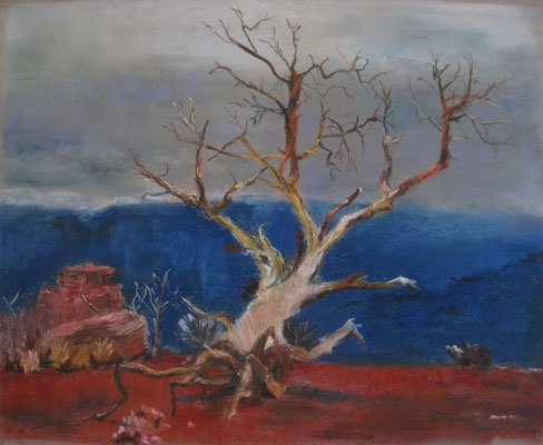 pastel - 50x40