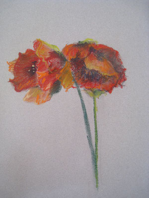 coquelicot - pastel - 20x30