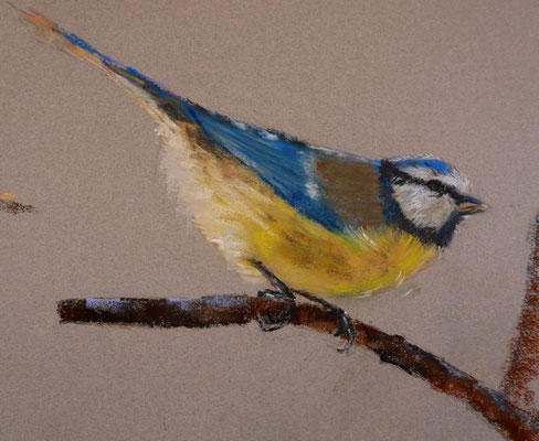 Oiseau 2 - pastel - 40x30