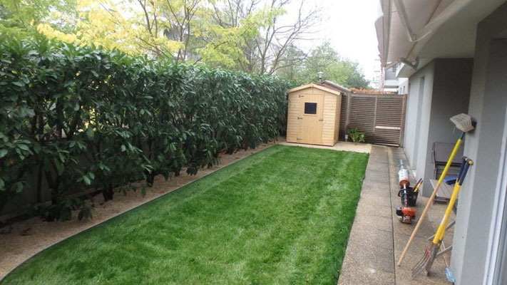 Jeune pelouse et abris de jardin