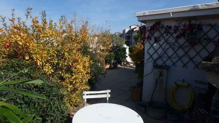 Ambiance jardin en toiture terrasse