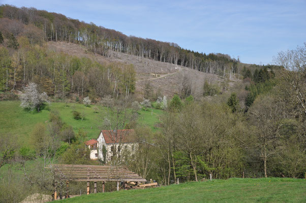 ein Blick über die Mühle