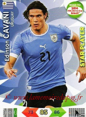 N° 189 - Edinson CAVANI (2013-??, PSG > 2014, Uruguay) (Star player)