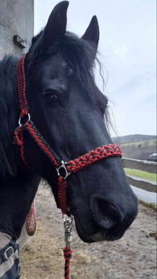 Halfter aus Paracord geflochten