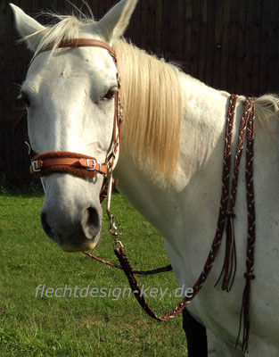 Offene flache Westernzügel