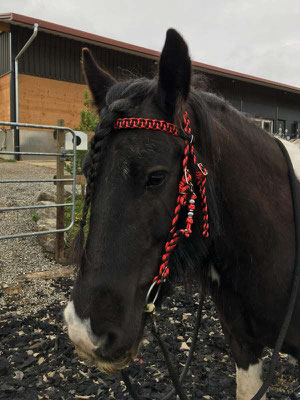 Westerntrense schwarz/rot