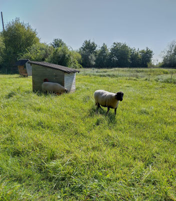 Foto: Heike Gonschior