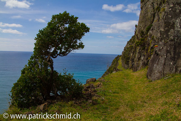 Was für ein Wanderweg.