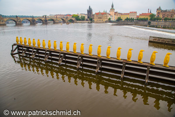 Karlsbrücke