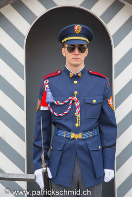 Prager Schloss