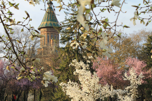 Die Orthodoxe Kathedrale im Frühling.