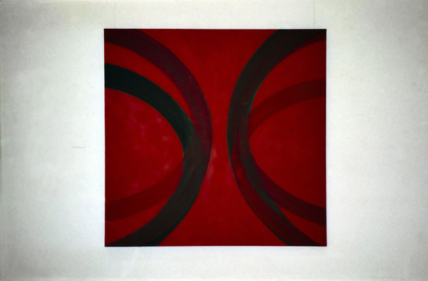 Serge Fauchier Galerie Jean Fournier 1995