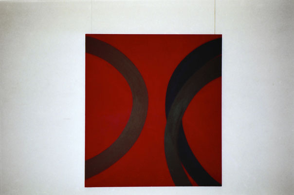 Serge Fauchier Galerie Jean Fournier 1995