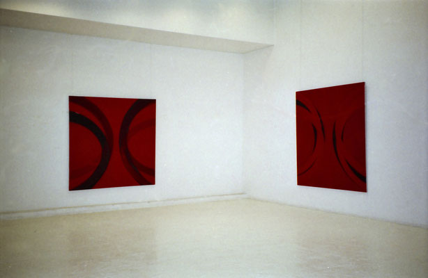 Serge Fauchier Galerie Jean Fournier 1995