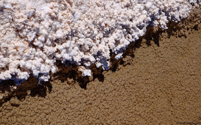 Salt meets Stromatolites