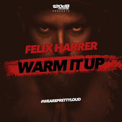 FELIX HARRER - WARM IT UP