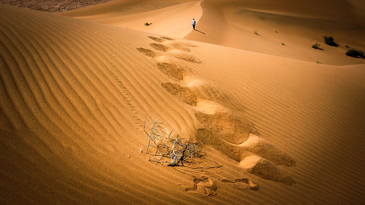 Tengger desert - Ningxia - Chine (2021)