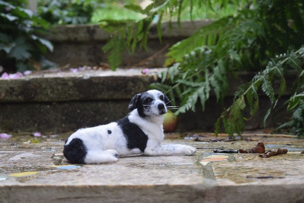 handgefilztes schwarz weißes Hundeportrait aus Wolle liegend draußen