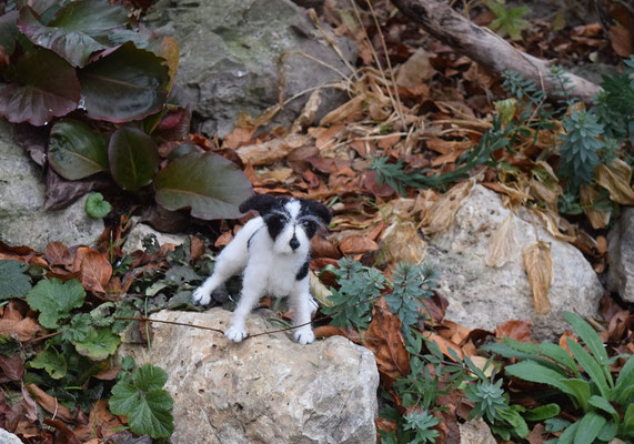 Hund stehend Filztier Tierportrait