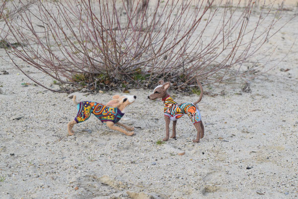 whippet Hundemantel Filztier Tierportrait stehend