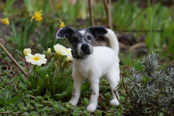 Filztier Tierportrait Hund