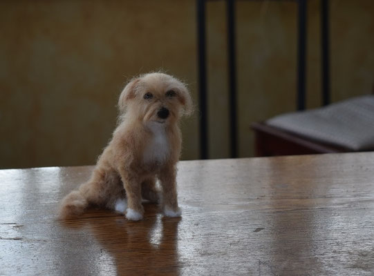 Hund sitzend Filztier Tierportrait