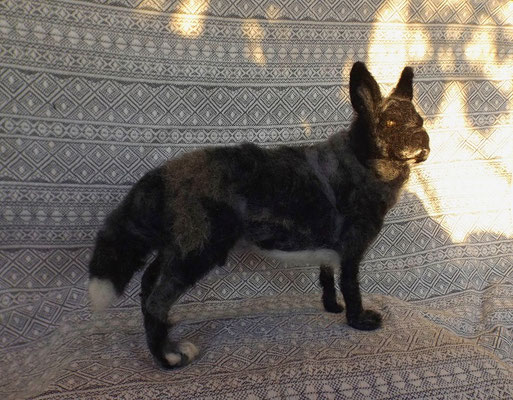 Hund stehend Filztier Tierportrait