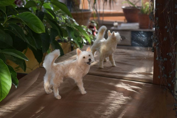 individuelles Tierportrait Hund aus Wolle handgefertigt realistisch