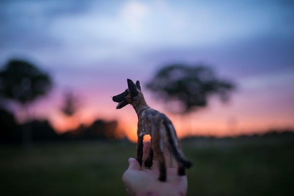 realistisches Hundeportrait aus Wolle handgefilzt im Sonnenuntergang
