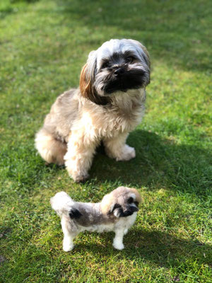 Hund sitzend Filztier Tierportrait