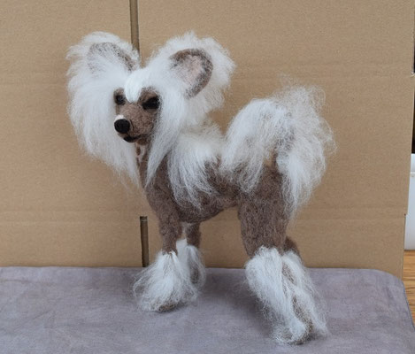 handgefilztes Hundeportrait mexikanischer Nackthund aus Wolle realistisch