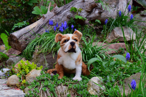 englische Bulldogge Hund sitzend Filztier Tierportrait Hund