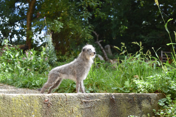 handgefilztes Tierportrait nach Vorlage individuelles Erinnerungsstück