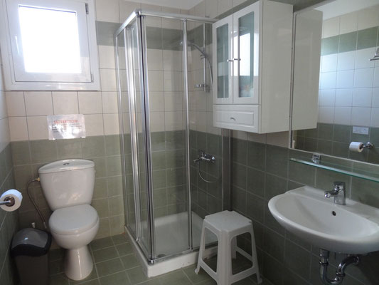 Green bathroom