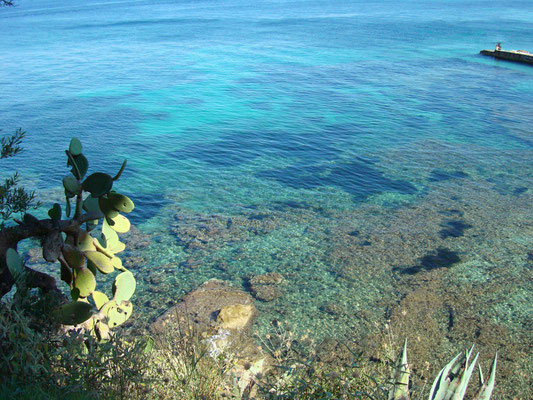 Cristal clear water