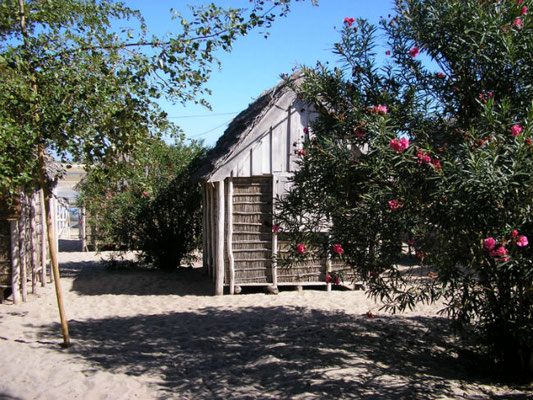 Nos bungalows 