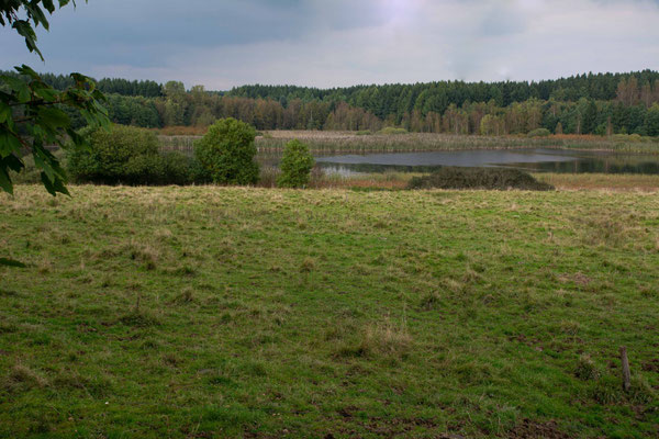 Wölferlinger Weiher, Bild: Marcel Weidenfeller