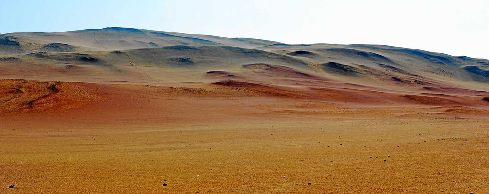 Und eine wundervolle Wüstenlandschaft. 