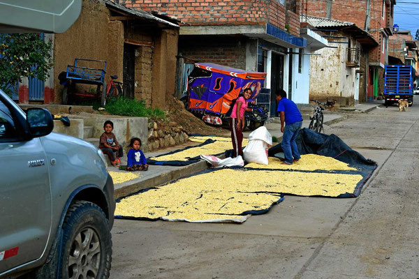 Auch wenn Huarez eine "richtige Stadt" ist, der Mais wird trotzdem mittendrin auf der Straße getrocknet.