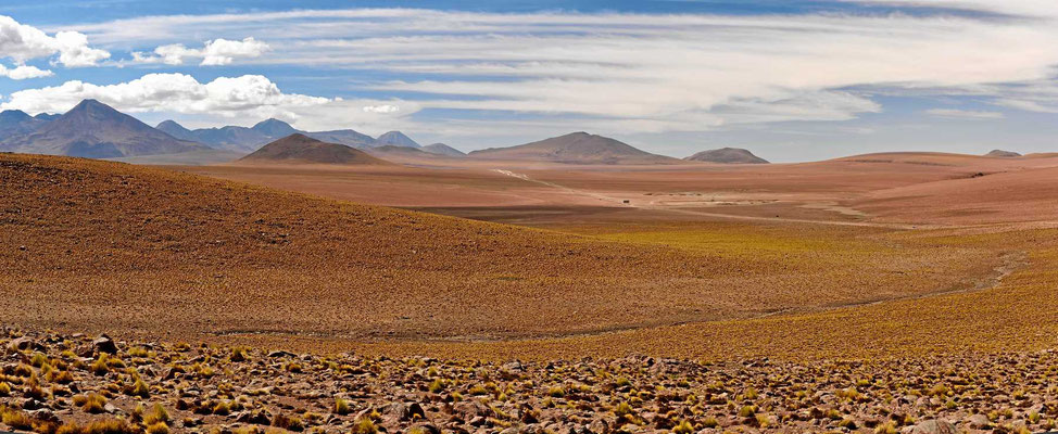 Die Fahrt vom Geysirfeld nach San Pedro de Atacama wird eine reine Genussfahrt durch schönste Wüstenlandschaft.