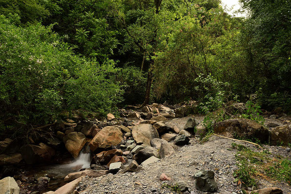 Spaziergang durch die Quebrada de San Lorenzo, ein Tal mit Yungas-Wald.