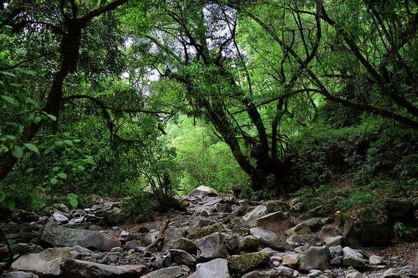 Spaziergang durch die Quebrada de San Lorenzo, ein Tal mit Yungas-Wald.