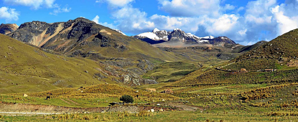 Die Puna-Landschaft in den Cordillera Blanca.