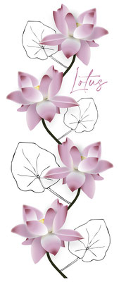 "Lotus" Illustrator