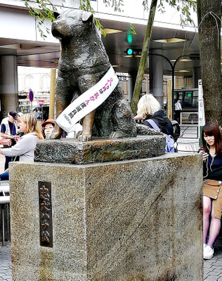 Le chien Hachiko