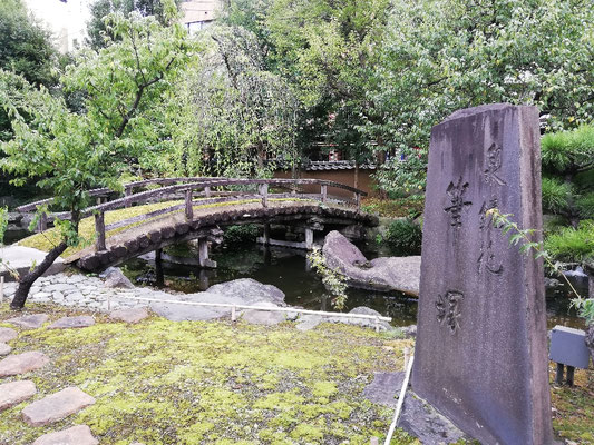 Jardin japonais 