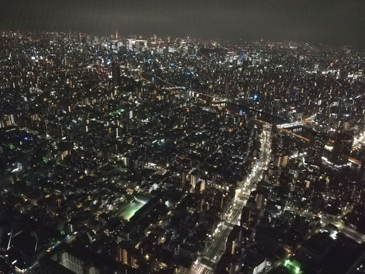 Vue sur toute la ville de Tokyo 