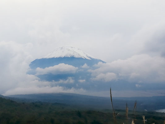 Première vue du Mont Fuji surplombant les nuages