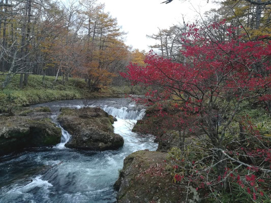 Couleurs d'automne 
