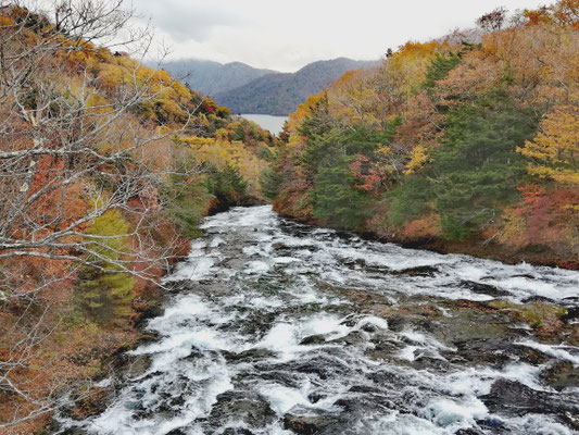 Couleurs d'automne